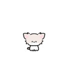動く！ミニチワワ（個別スタンプ：9）