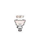 動く！ミニチワワ（個別スタンプ：10）