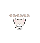 動く！ミニチワワ（個別スタンプ：15）