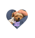 LOVEぼくちん❤️（個別スタンプ：2）