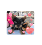 LOVEぼくちん❤️（個別スタンプ：3）
