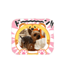 LOVEぼくちん❤️（個別スタンプ：6）
