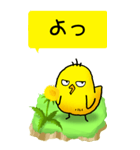 ひよこたんぽぽ その1（個別スタンプ：1）