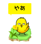 ひよこたんぽぽ その1（個別スタンプ：2）