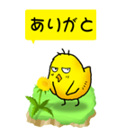 ひよこたんぽぽ その1（個別スタンプ：8）