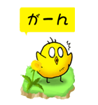 ひよこたんぽぽ その1（個別スタンプ：13）