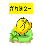 ひよこたんぽぽ その1（個別スタンプ：18）