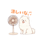もふサモエドとひんやりひと休み（個別スタンプ：4）