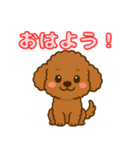 【毎日使える】チワワ（茶）日常スタンプ_5（個別スタンプ：1）