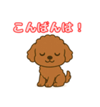 【毎日使える】チワワ（茶）日常スタンプ_5（個別スタンプ：3）