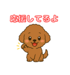 【毎日使える】チワワ（茶）日常スタンプ_5（個別スタンプ：7）