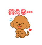 【毎日使える】チワワ（茶）日常スタンプ_5（個別スタンプ：8）