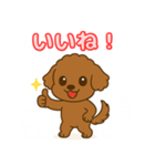 【毎日使える】チワワ（茶）日常スタンプ_5（個別スタンプ：11）
