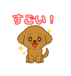 【毎日使える】チワワ（茶）日常スタンプ_5（個別スタンプ：13）