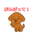 【毎日使える】チワワ（茶）日常スタンプ_5（個別スタンプ：15）