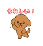 【毎日使える】チワワ（茶）日常スタンプ_5（個別スタンプ：17）