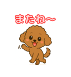 【毎日使える】チワワ（茶）日常スタンプ_5（個別スタンプ：19）