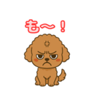 【毎日使える】チワワ（茶）日常スタンプ_5（個別スタンプ：22）
