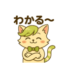 にゃいんずの緑色担当・みどにゃん（個別スタンプ：31）