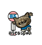 動くキジトラ猫5（個別スタンプ：3）