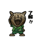 動くキジトラ猫5（個別スタンプ：5）