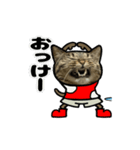 動くキジトラ猫5（個別スタンプ：6）