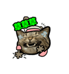 動くキジトラ猫5（個別スタンプ：7）