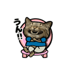 動くキジトラ猫5（個別スタンプ：8）