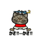 動くキジトラ猫5（個別スタンプ：10）