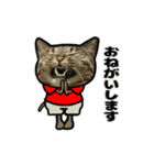 動くキジトラ猫5（個別スタンプ：15）