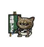 動くキジトラ猫5（個別スタンプ：16）