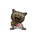 動くキジトラ猫5（個別スタンプ：21）