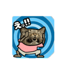 動くキジトラ猫5（個別スタンプ：22）