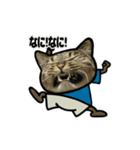 動くキジトラ猫5（個別スタンプ：23）
