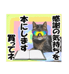 リアルキジトラ❤笑える猫写真14（個別スタンプ：4）