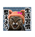 リアルキジトラ❤笑える猫写真14（個別スタンプ：21）