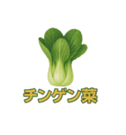 毎日食べたい！！日本のごちそう野菜編！（個別スタンプ：8）