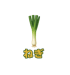 毎日食べたい！！日本のごちそう野菜編！（個別スタンプ：14）