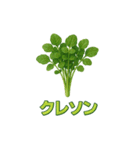 毎日食べたい！！日本のごちそう野菜編！（個別スタンプ：22）