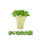 毎日食べたい！！日本のごちそう野菜編！（個別スタンプ：27）
