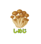 毎日食べたい！！日本のごちそう野菜編！（個別スタンプ：37）