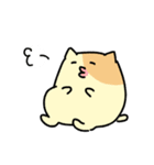 食う寝るくまぬこ その①（個別スタンプ：1）