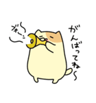 食う寝るくまぬこ その①（個別スタンプ：25）