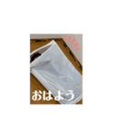 ひちゃ2025.5（個別スタンプ：1）