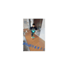 ひちゃ2025.5（個別スタンプ：2）