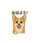 コーギー・コーギー（個別スタンプ：1）