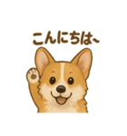 コーギー・コーギー（個別スタンプ：2）