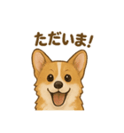 コーギー・コーギー（個別スタンプ：5）