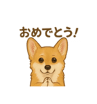 コーギー・コーギー（個別スタンプ：8）