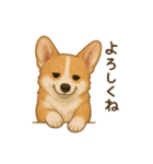 コーギー・コーギー（個別スタンプ：9）